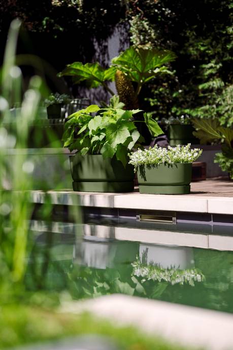 greenville pflanzgefäß 60cm rollen laubgrün